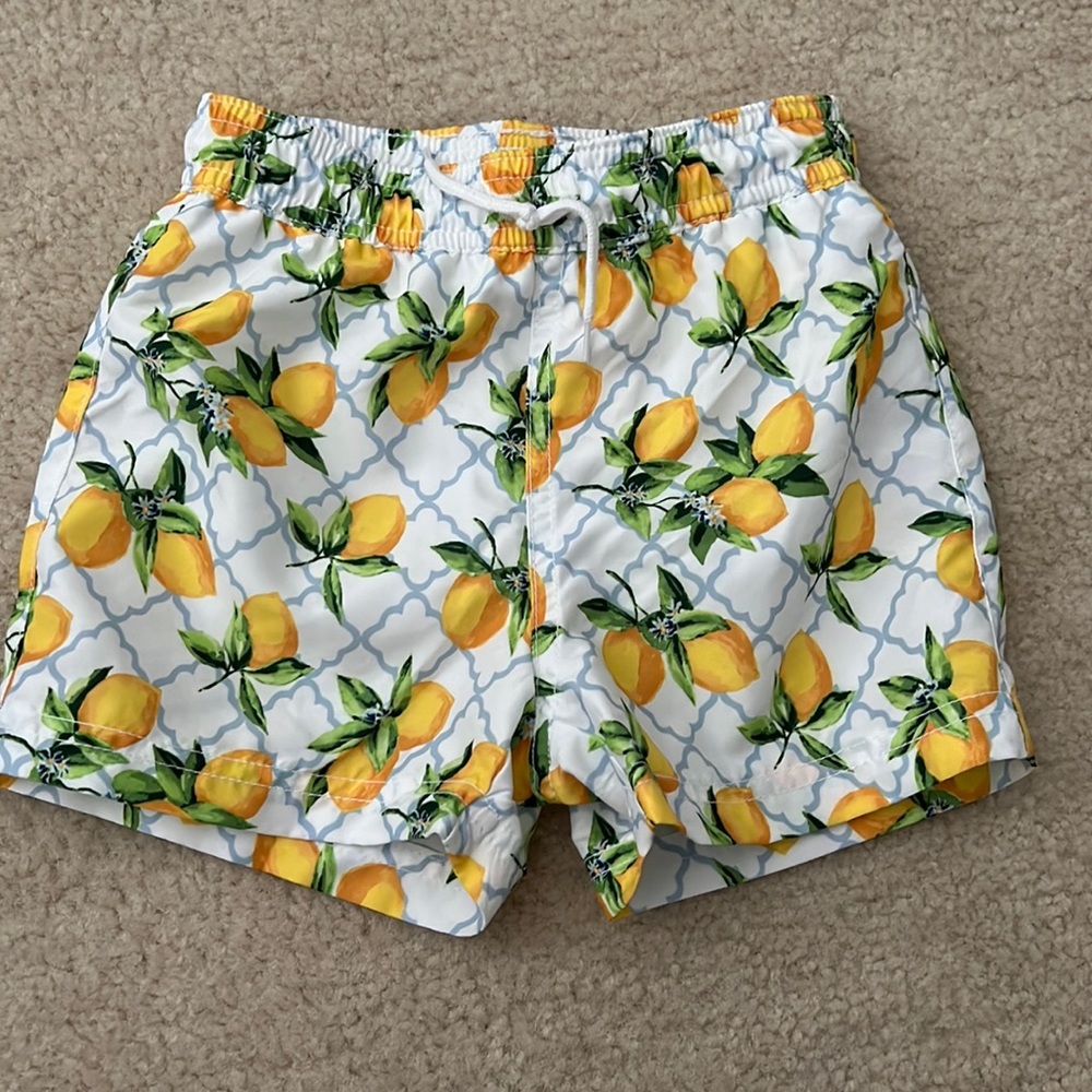 NEW Janie and Jack boys swim suit